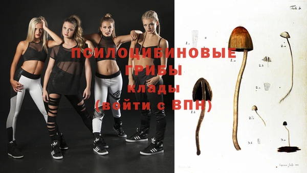 эйфоретик Липки