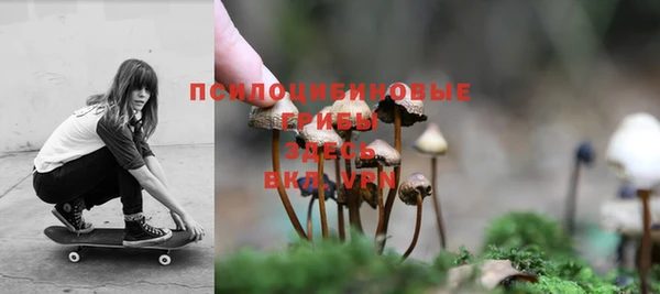 mdpv Магадан