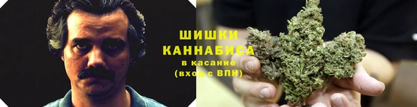 mdpv Магадан