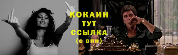 молекула духа Майский