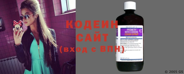 молекула духа Майский