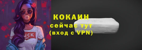 индика Магас