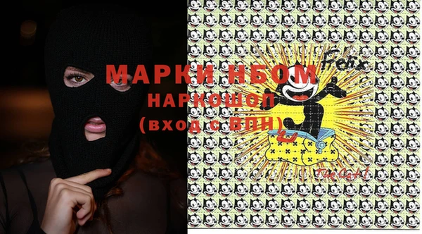 индика Магас