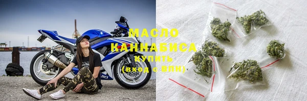 индика Магас