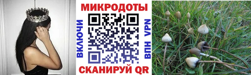 Галлюциногенные грибы Magic Shrooms  Щёлково 